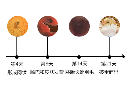 德州市德城區(qū)萬(wàn)順?lè)趸O(shè)備廠(chǎng)